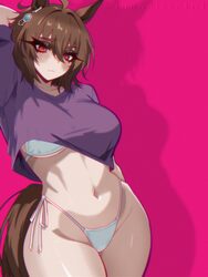 1girl absurdres agnes tachyon (umamusume) ahoge animal ears arm behind head arm up bikini blush breasts brown hair clos…