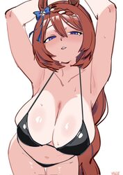 1girl animal ears armpits arms up bikini black bikini blue eyes bow braid breasts brown hair commentary english comment…