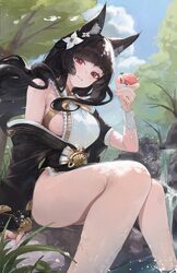 1girl absurdres animal ear fluff animal ears animalization bare legs bare shoulders bird bird on hand black hair black …