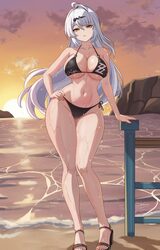 1girl absurdres ahoge alternate costume beach bikini bird black bikini breasts cleavage commentary english commentary f…