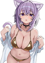 1girl absurdres animal ears bikini blush breasts cat ears cat girl cat tail collar commentary request daelriibres gold …