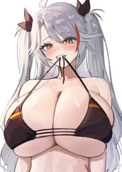 1girl absurdres azur lane bare shoulders bikini black bikini blush breasts brown eyes cleavage commentary request grey …