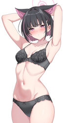 1girl absurdres animal ear fluff animal ears armpits arms up black bra black hair black panties blue archive blunt bang…
