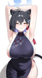 1girl absurdres animal ears armpits arms behind head black dress blue archive blue halo breasts chinese clothes colored…