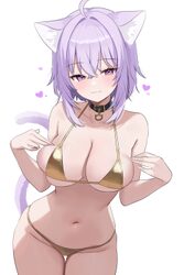 1girl  3 absurdres ahoge alternate costume animal ear fluff animal ears bikini black collar breasts cat ears cat girl c…