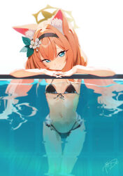 1girl against glass alternate costume animal ear fluff animal ears arm rest armpit peek bikini black bikini blue archiv…