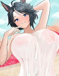 1girl absurdres arm behind head arm up black hair blue eyes blue sky blush breasts commentary request day fuji kiseki (…